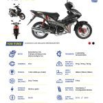 CATÁLOGO RONCO 20261735